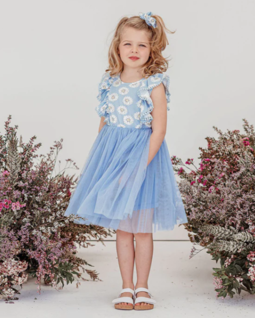 Daisy Short Sleeve Hazel Tutu Dress – LMNOP the store