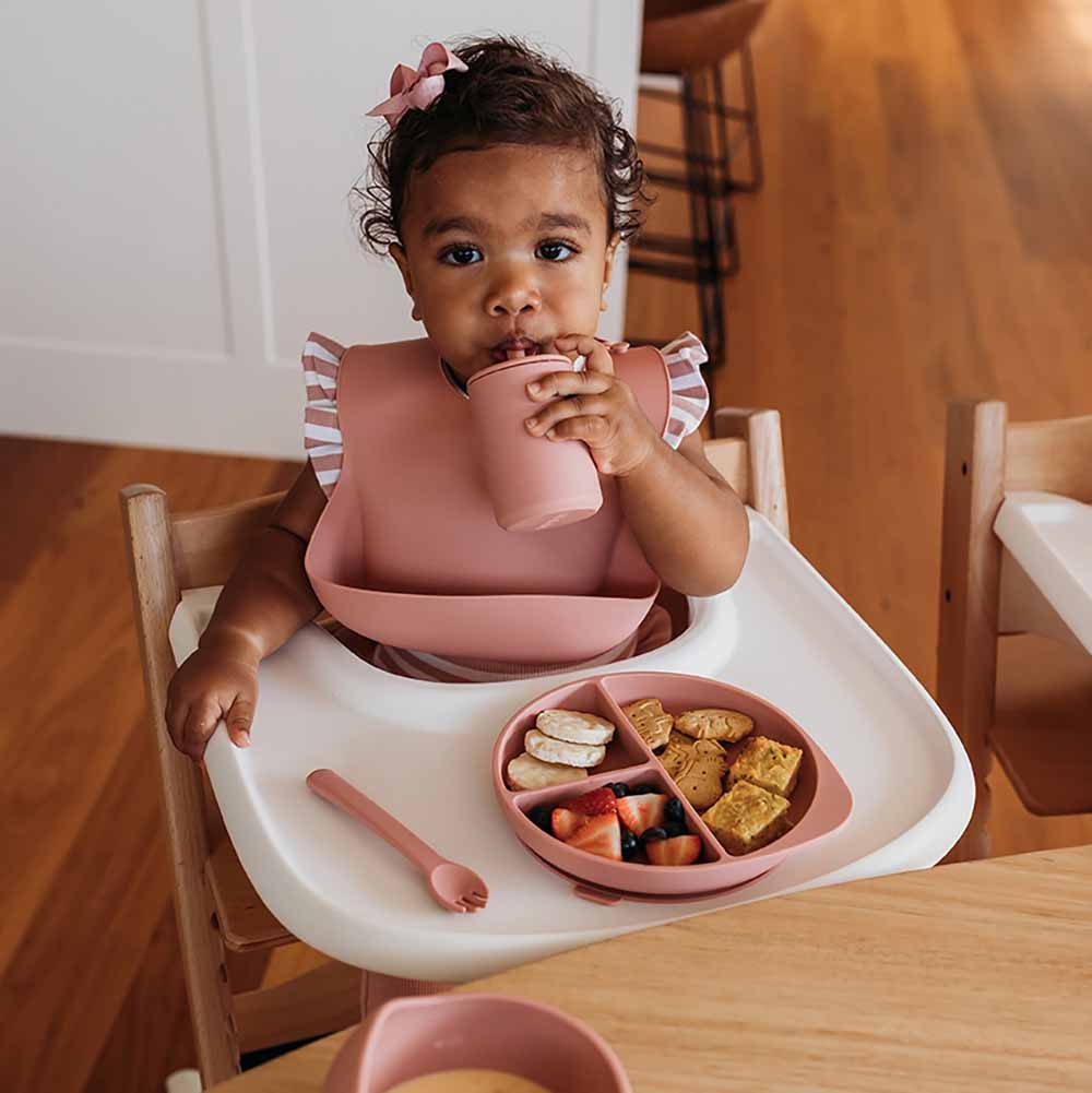Silicone Meal Kit — Rose