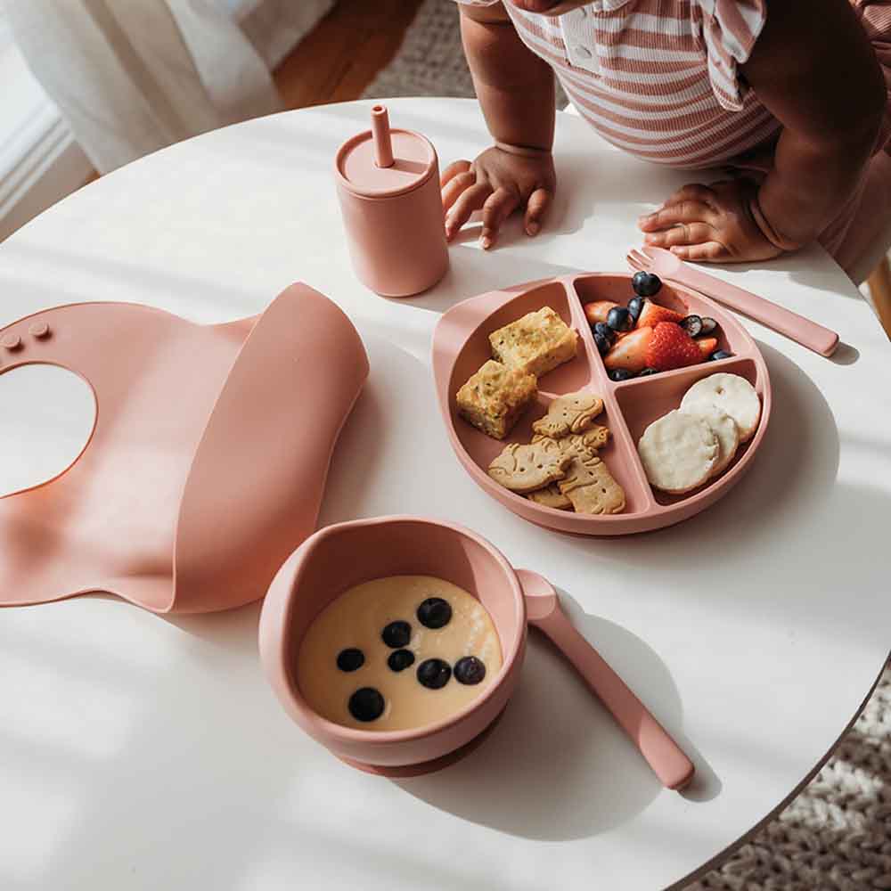 Silicone Meal Kit — Rose
