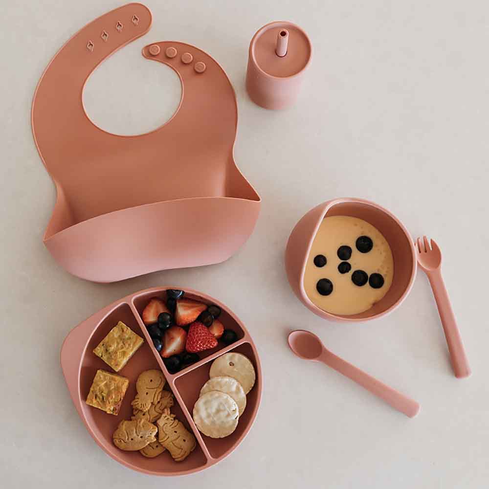 Silicone Meal Kit — Rose