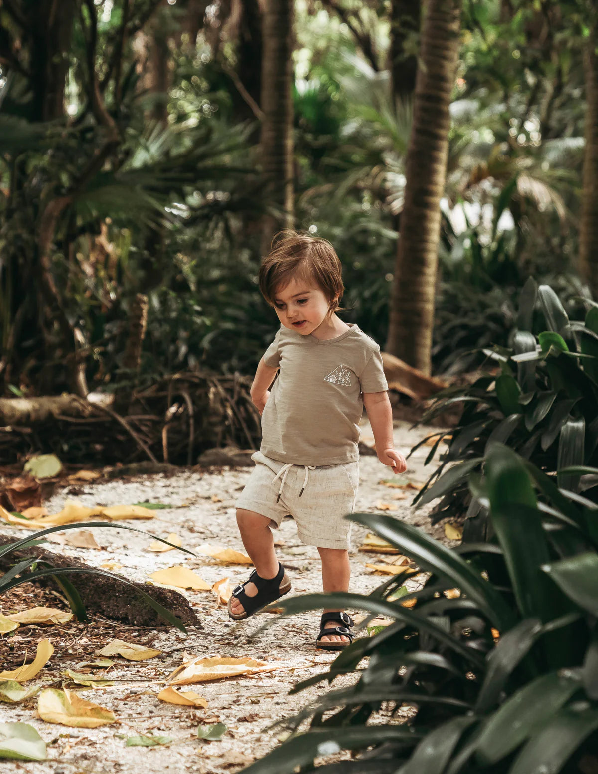 Ollie Boys Shorts